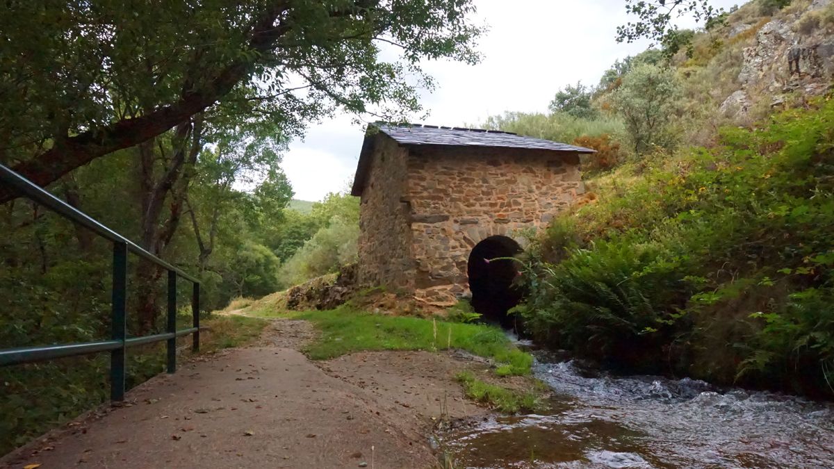 Imagen del paseo de los molinos, en una de las dos rutas que ahora se abren oficialmente.