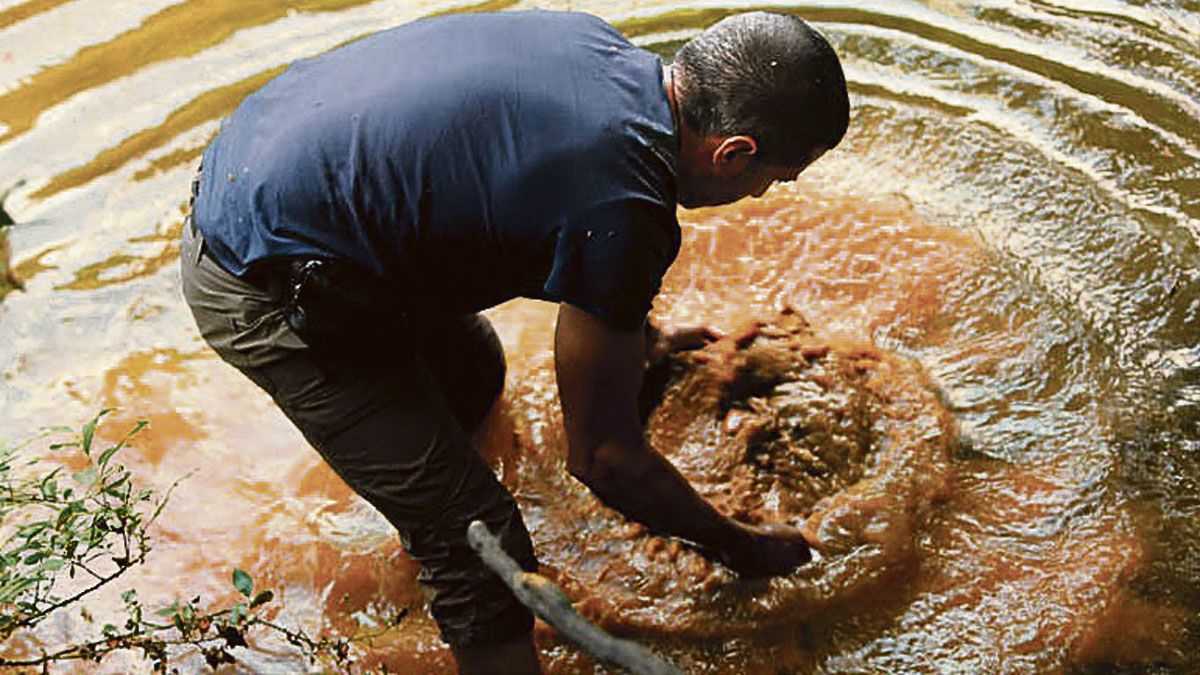 José Vicente Casado bateando en las aguas de un río para extraer pepitas de oro, algo que mañana repetirá en las auríferas aguas del río Eria.