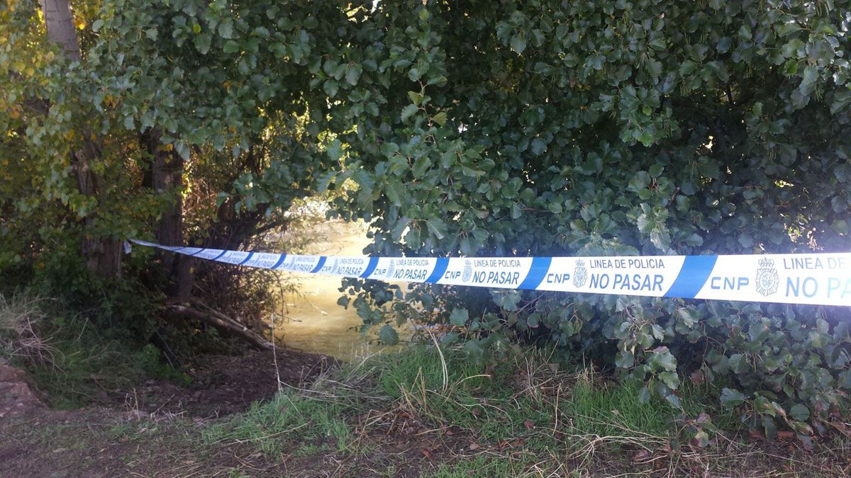 Zona del río Bernesga en la que apareció el cuerpo sin vida de una mujer en octubre del año 2015. | L.N.C.