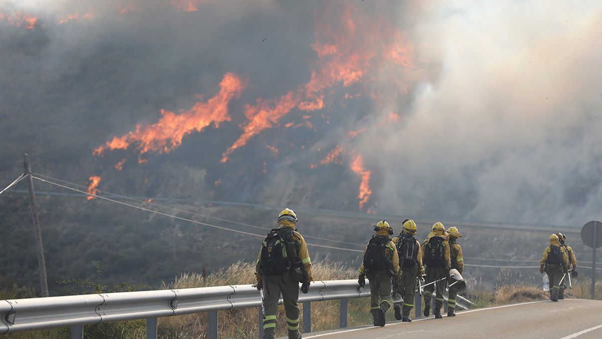 Varias carreteras tuvieron que ser cerradas al tráfico por la intensidad del humo. | ICAL