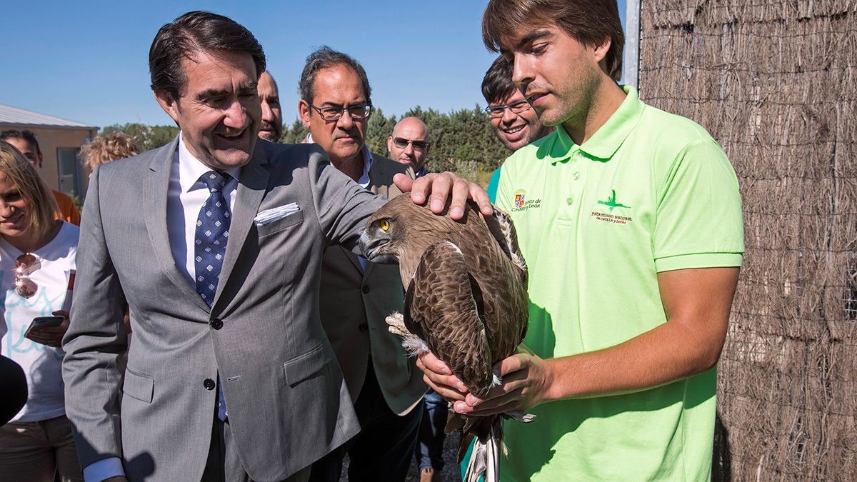 Suárez-Quiñones durante su visita al Centro de Recuperación de Animales Silvestres de Burgos. | ICAL