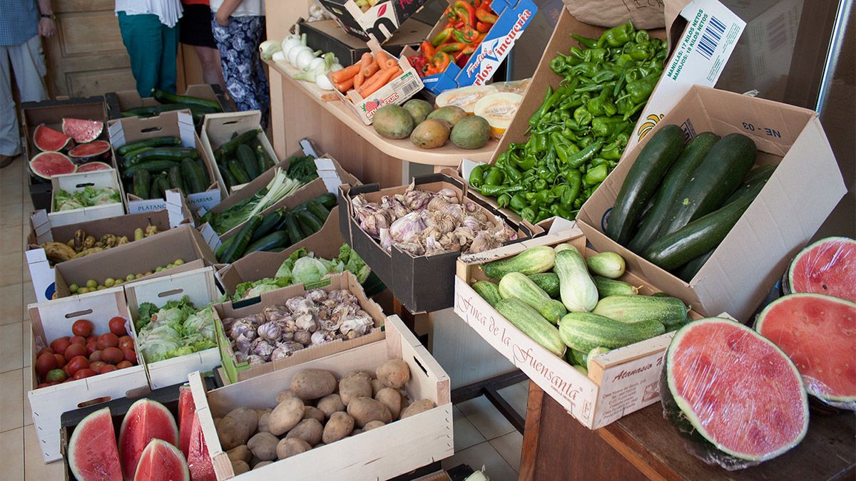 "La idea es evitar que los productos cultivados con esfuerzo se desperdicien", explican desde el Consistorio. | T.G.