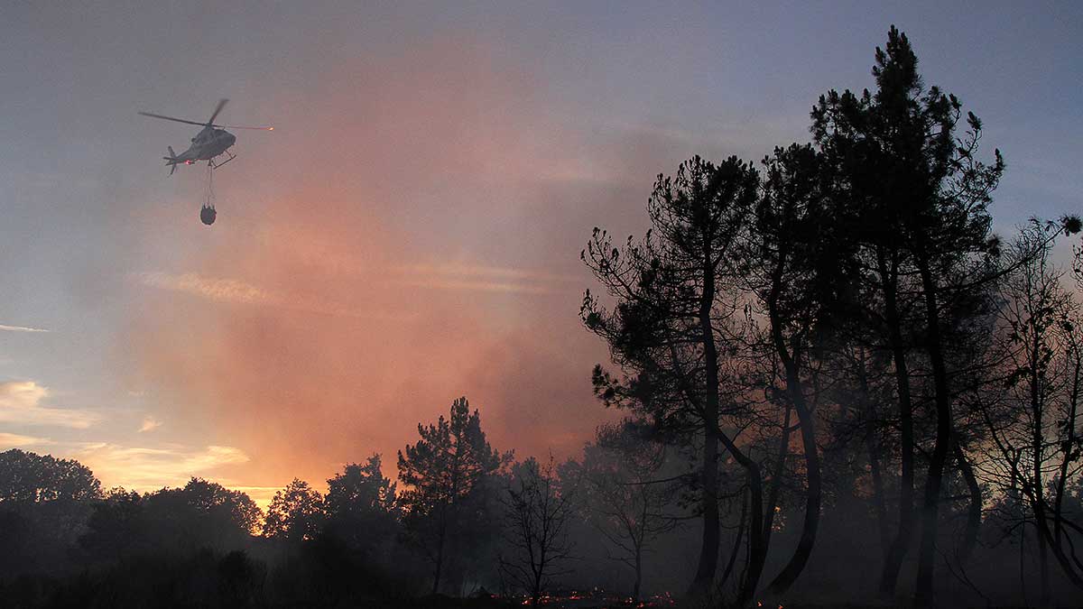 Incendio de Quintanilla del monte. | ICAL