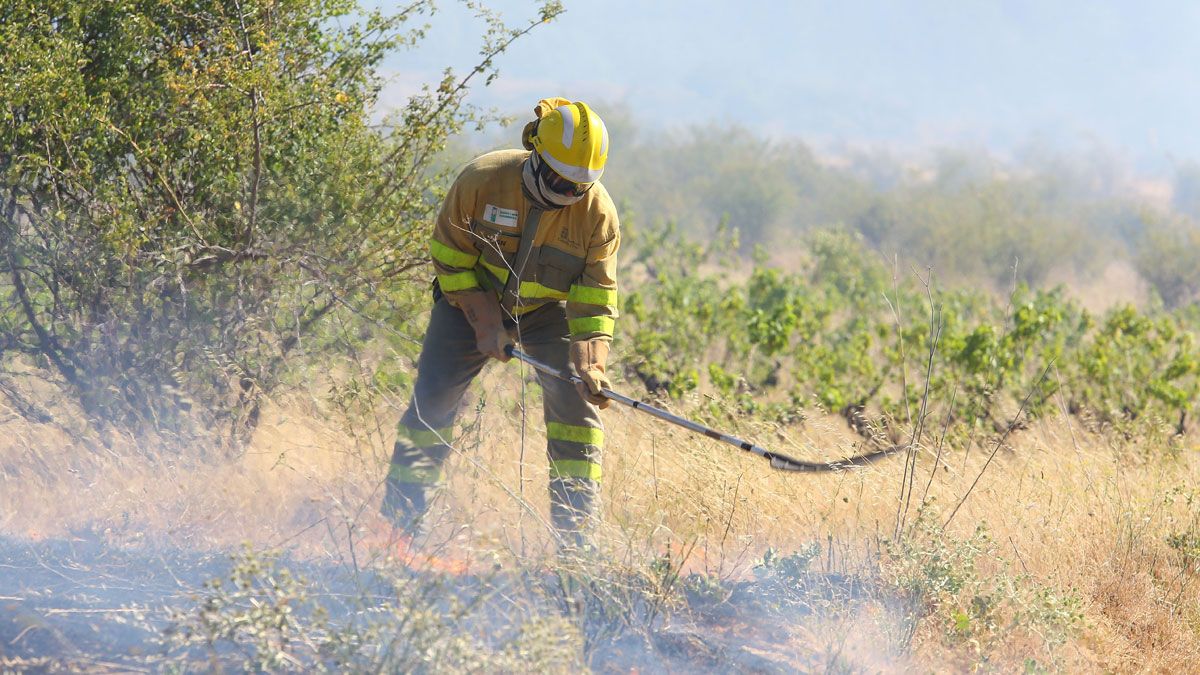 Imagen de un operario en el fuego de Borrenes a principios de agosto. | Ical