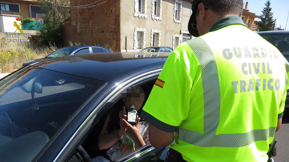 Uno de los controles efectuados por la Guardia Civil. | L.N.C.