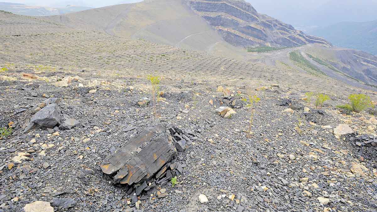 El proyecto recoge tres grandes ejes, sendero, zona de descanso y mirador. | DANIEL MARTÍN