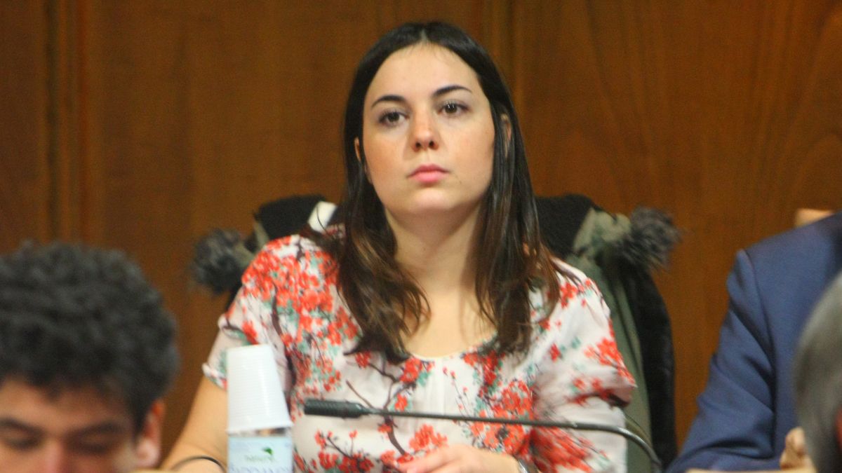 Rebeca Nieta forma parte del grupo Ponferrada en Común en el Ayuntamiento ponferradino. | ICAL