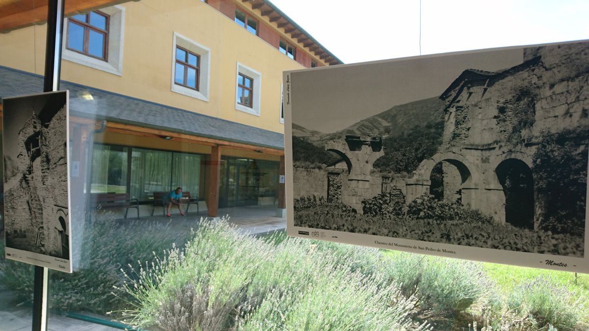 Algunas de las imágenes que se pueden ver en la sala del centro. | L.N.C.