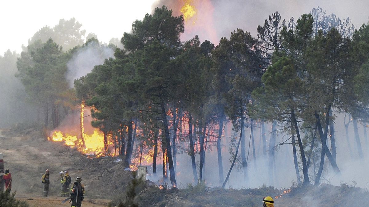 El incendio de Castrocontrigo ha sido uno de los peores de España. | MAURICIO PEÑA