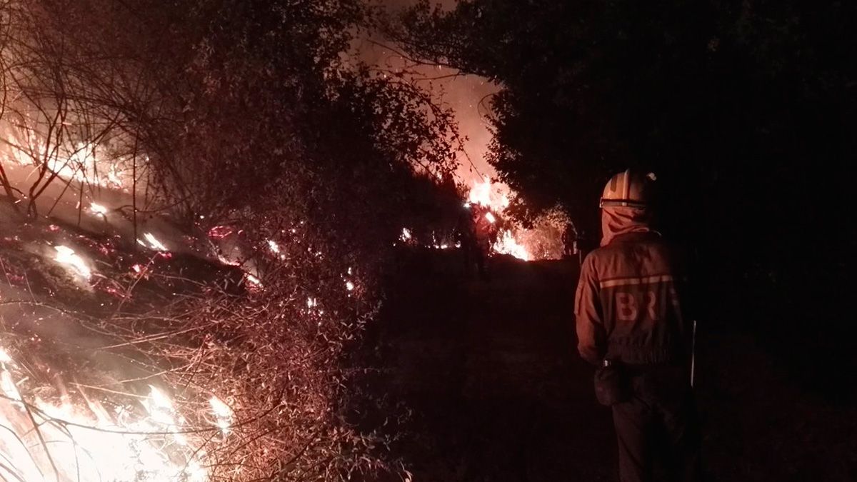 Un instante de los intentos de extinción de incendio esta noche del jueves. | BRIFTABUYO