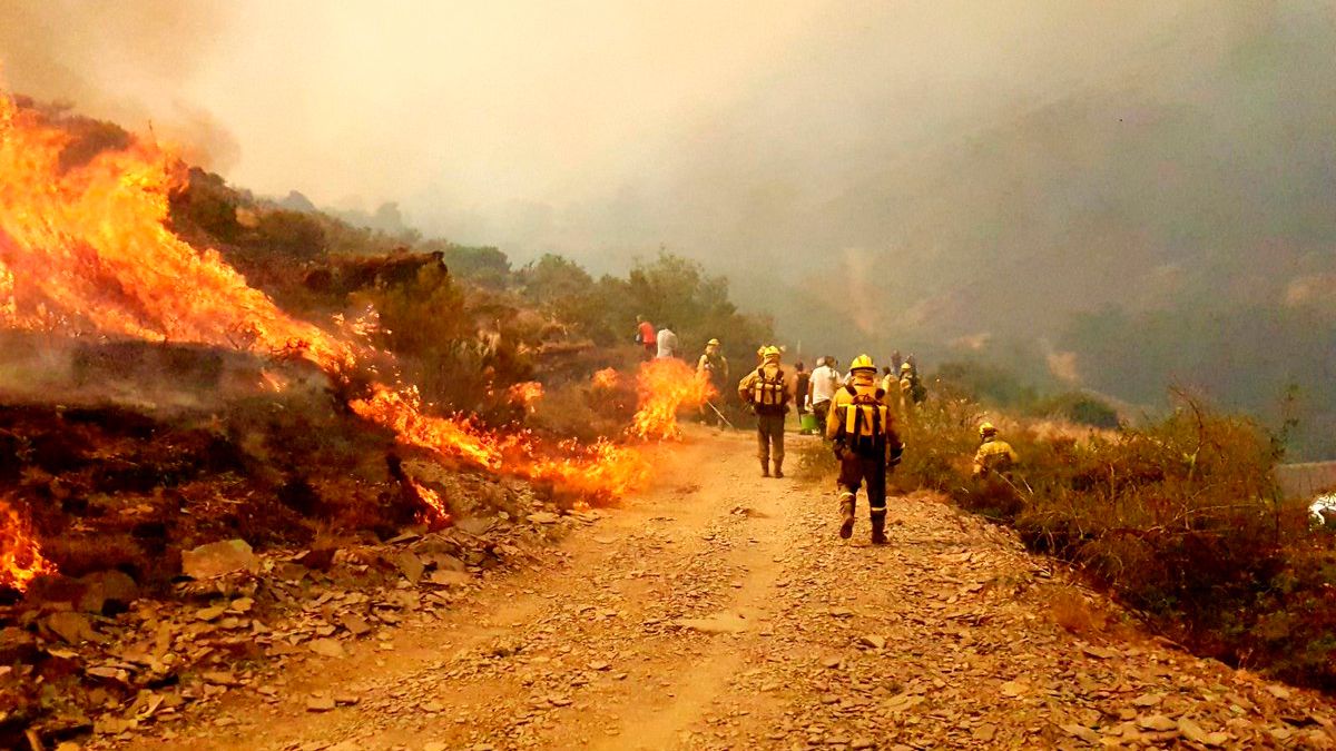 El incendio de La Cabrera lleva activo desde el lunes. | @BRIFTABUYO