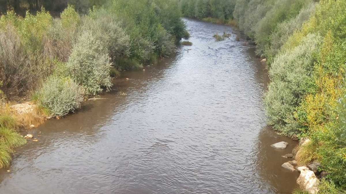 El río Eria este lunes, contaminado por la ceniza del incendio. | DAVID CARRACEDO ESTEBAN