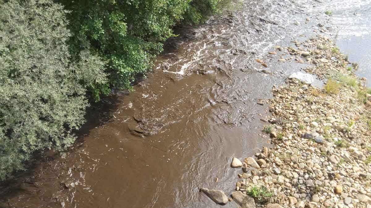 El río Eria contaminado por ceniza y lodos del incendio. | DAVID CARRACEDO ESTEBAN