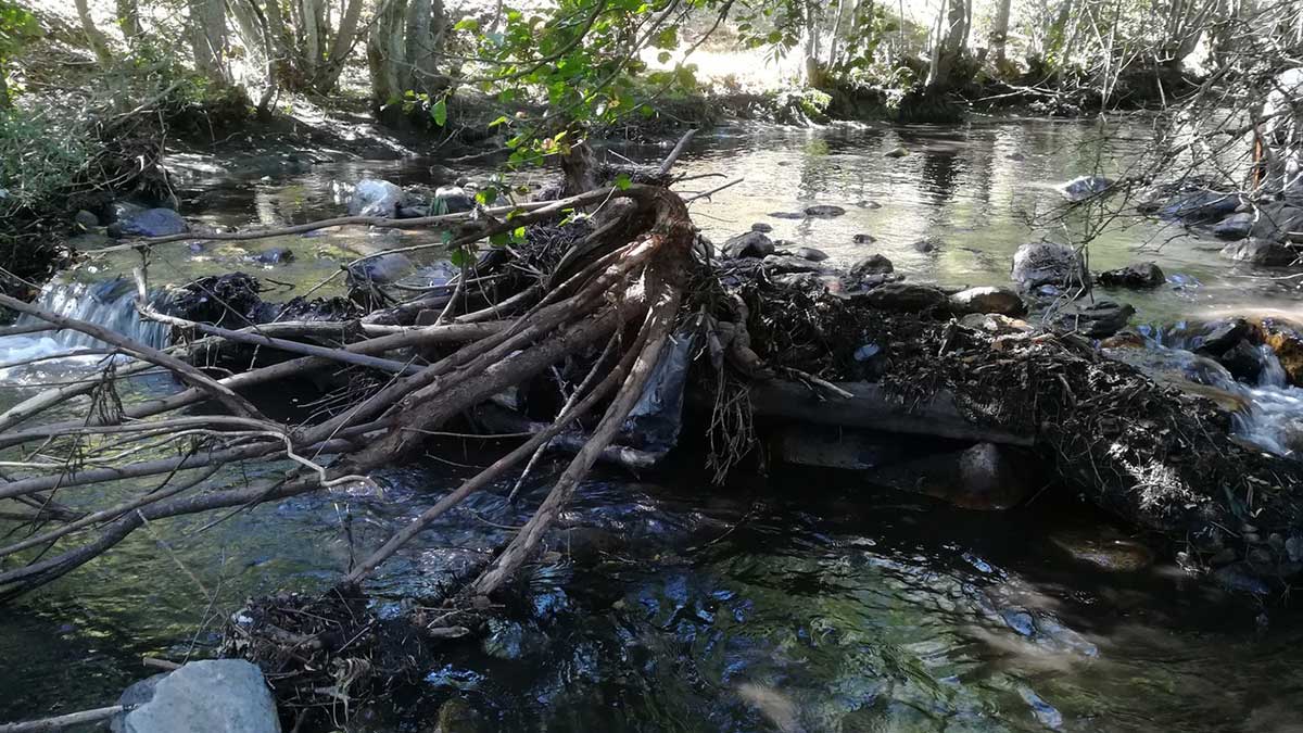 El río ha arrastrado gran parte de la destrucción en La Cabrera. | RODRIGO PRADO