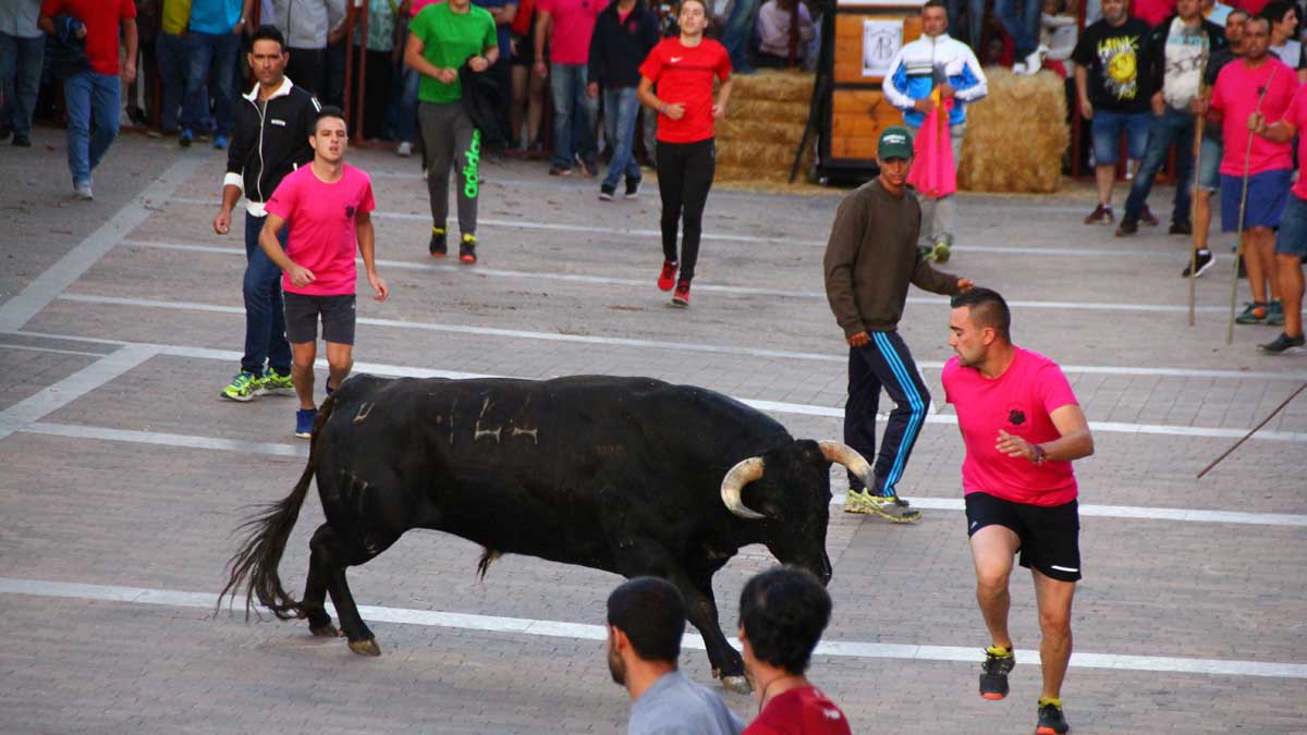 encierro-toros-valderas-9917.jpg encierro-toros-valderas-9917.jpg