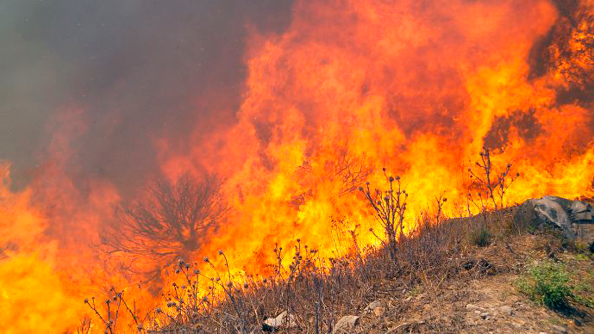 Los focos bercianos intencionados siguen adelante pese a la bajada de temperaturas.