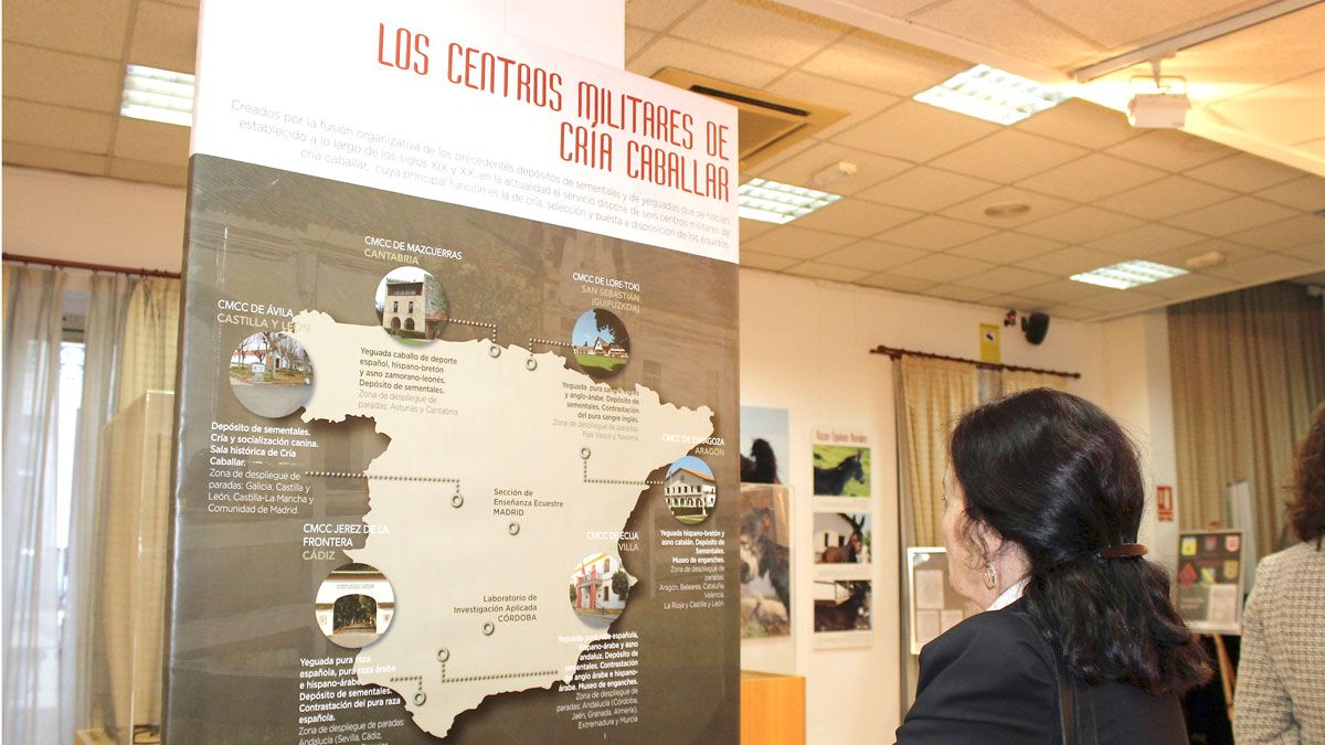Una visitante contempla el mapa con los distintos Centros Militares de Cría Caballar.