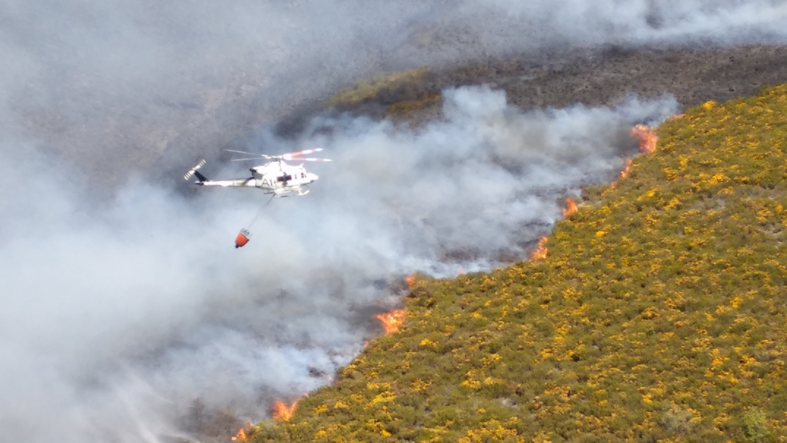 El incendio en la Tebaida produjo un escenario de lamento y un paisaje ennegrecido. | M.I.