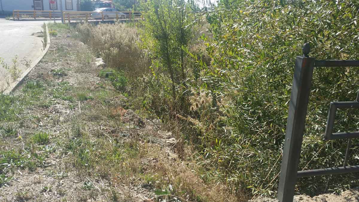 Estado actual en el que se encuentra el arroyo. | L.N.C.