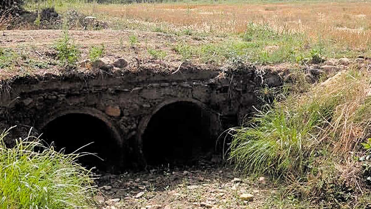 Las aguas volverán a la zaya. | L.N.C.