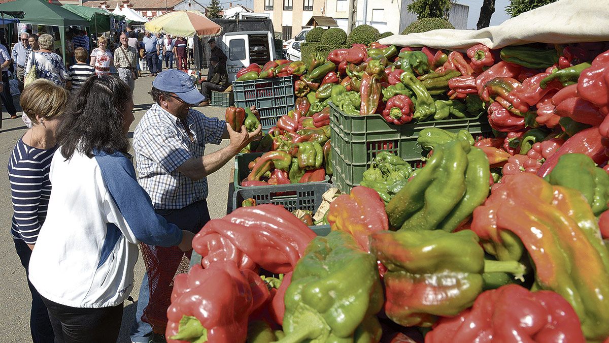 Jornada inaugural de la Feria del Pimiento de Fresno. | MAURICIO PEÑA