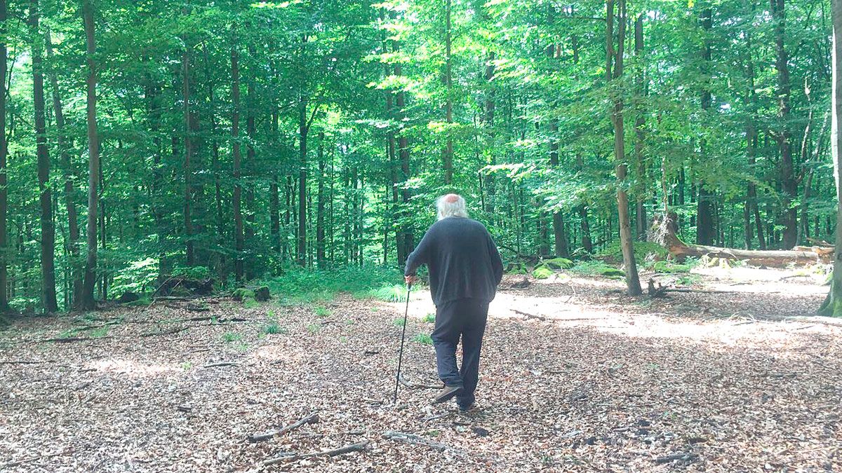 El Musac propone para este fin de semana un paseo por el paisaje leonés.