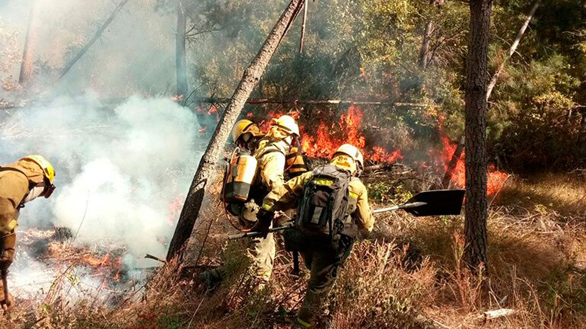 El fuego en Berlanga, en el mismo sitio donde se han registrado tres.  | BRIFF TABUYO