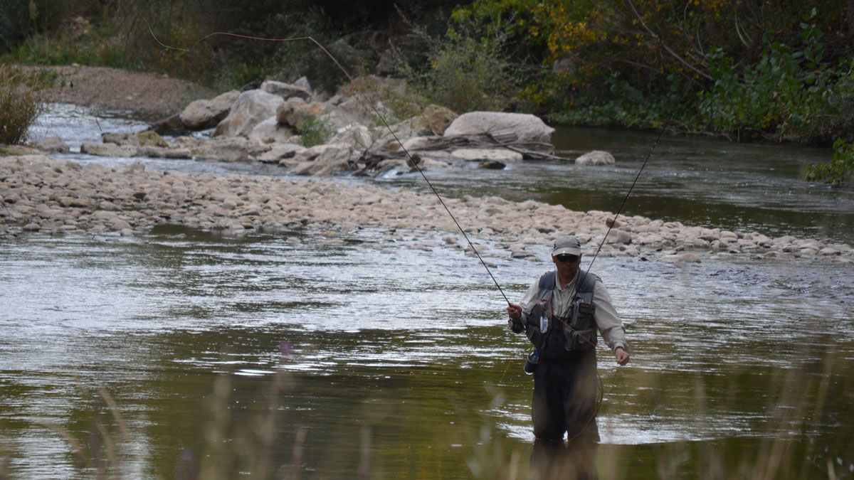 Un pescador, durante la competición. | P. FERRERO Un pescador, durante la competición. | P. FERRERO