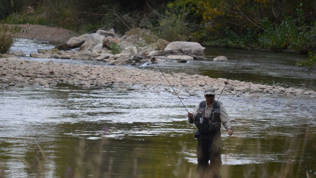 Un pescador, durante la competición. | P. FERRERO