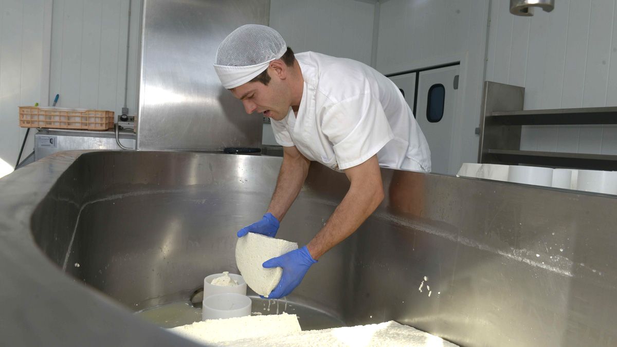 El inventario de empresas se realizará en 250 municipios de la comunidad. | M.P.