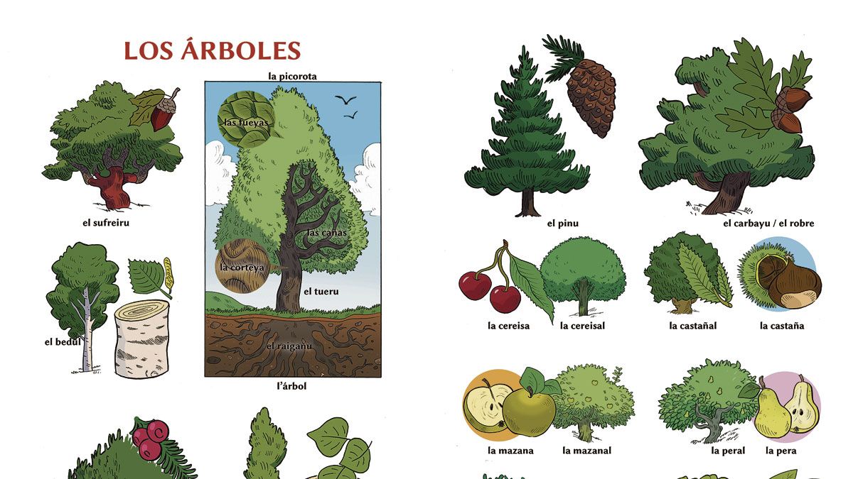 Uno de los capítulos está dedicado a las distintas variantes de árboles.