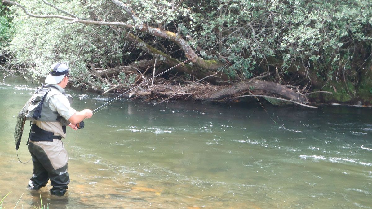 Un pescador, en plena faena en uno de los ríos de la provincia. | R.P.N. Un pescador, en plena faena en uno de los ríos de la provincia. | R.P.N.