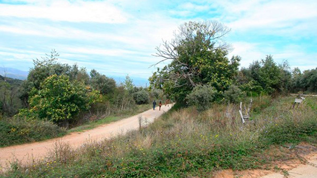 Zona de San Juan de Paluezas, donde se produjo el crimen. | C.S. (ICAL)