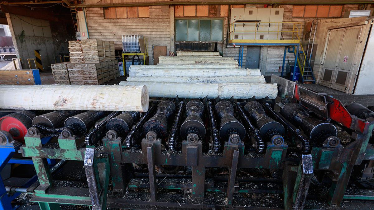 La madera es una de las materias primas que más exporta Castilla y León. | ICAL