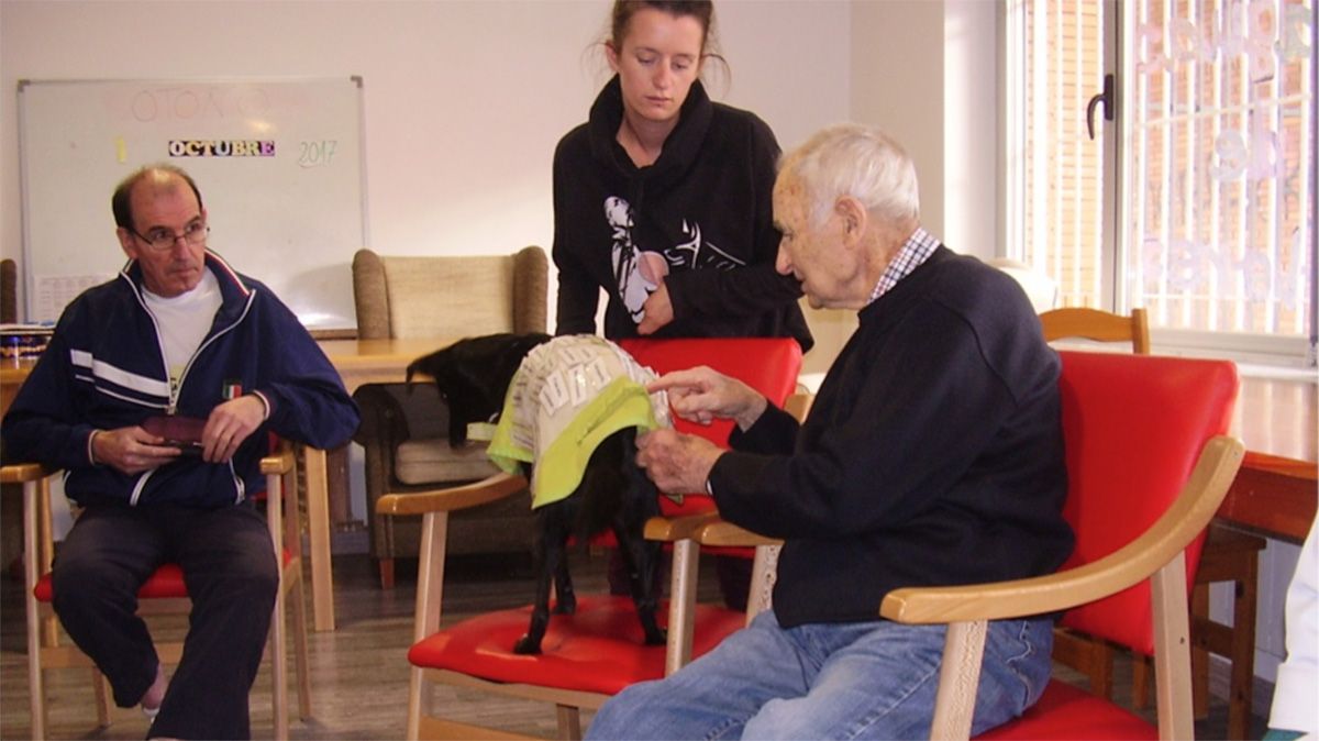 Cada quince días acude al Centro de Día de La Bañeza personal de la escuela canina El Educadog. | ABAJO