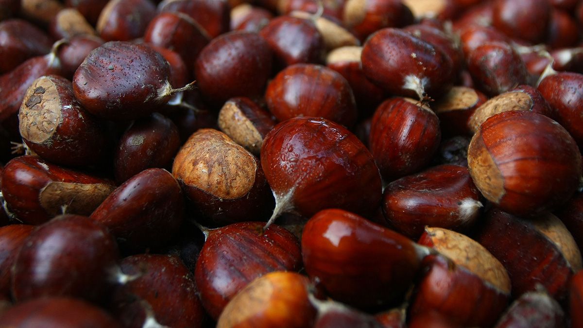 castanas-251017.jpg