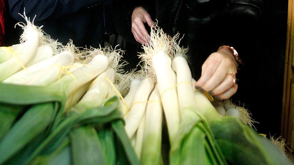 Los puerros serán los protagonistas de la Feria de San Simón. | ICAL