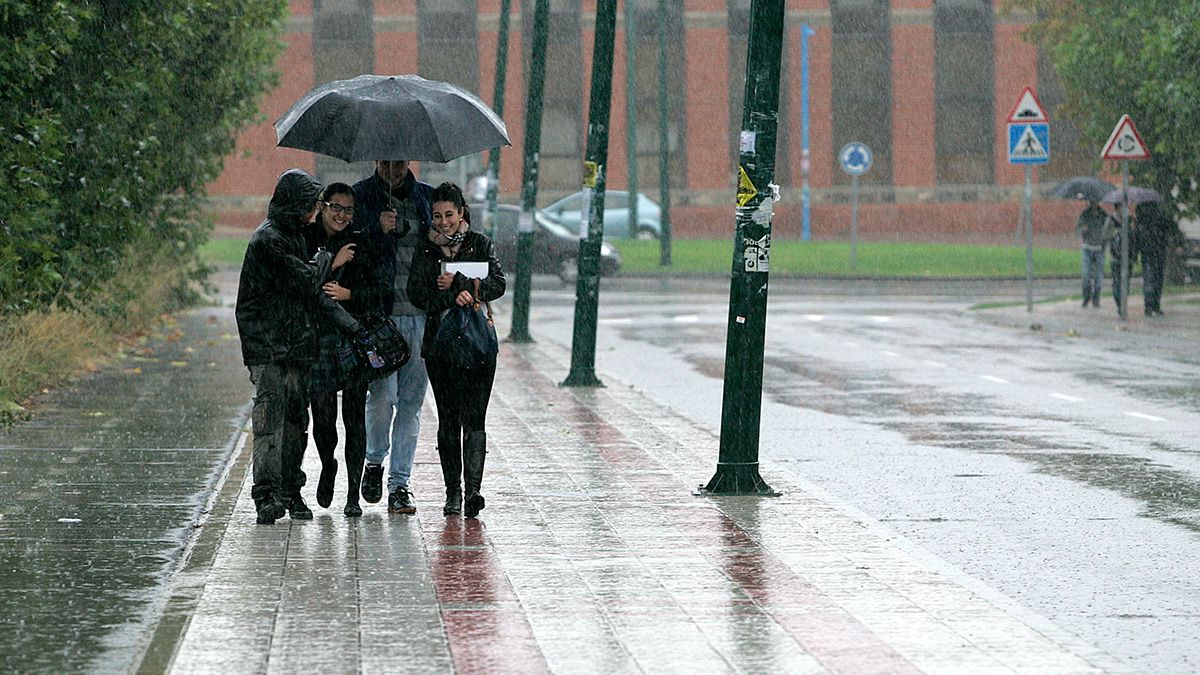 lluvia-leon-301017.jpg