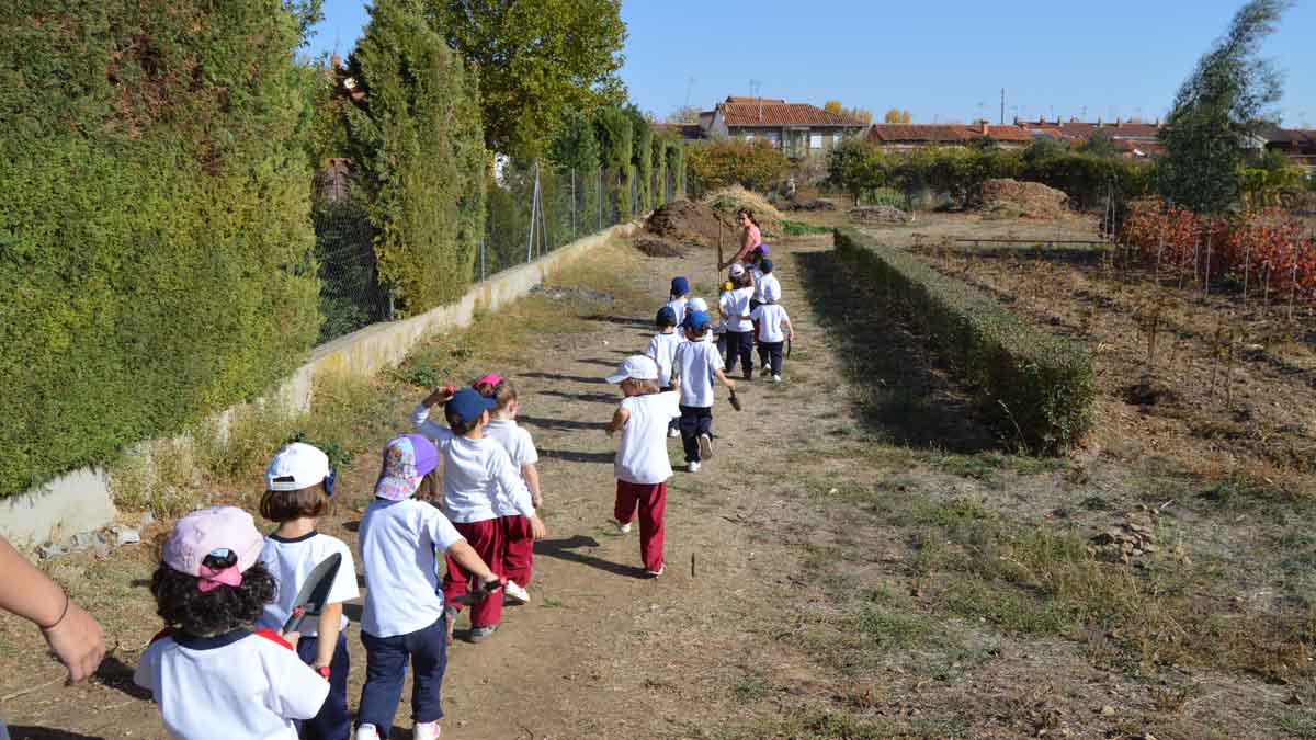 Los niños participantes en esta actividad, camino de los viñedos. | L.N.C.