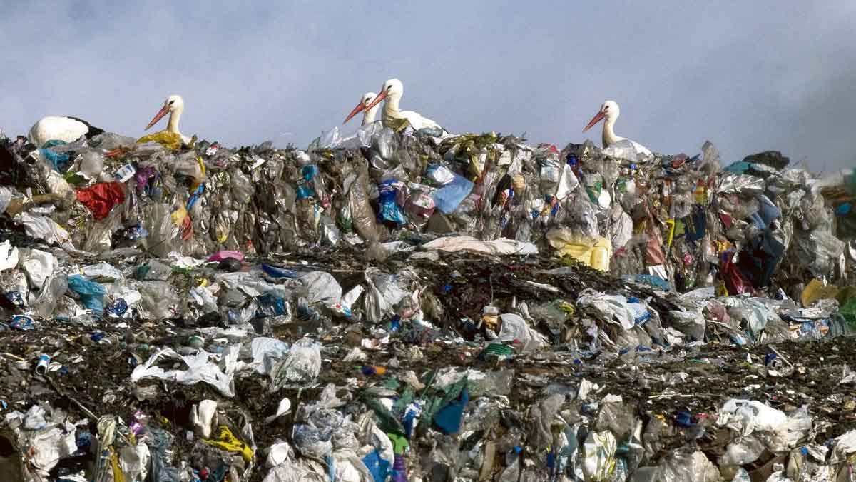 Parte de la basura que ha sido traslada de la finca de El Busto en Santa María del Páramo al CTR. | MAURICIO PEÑA