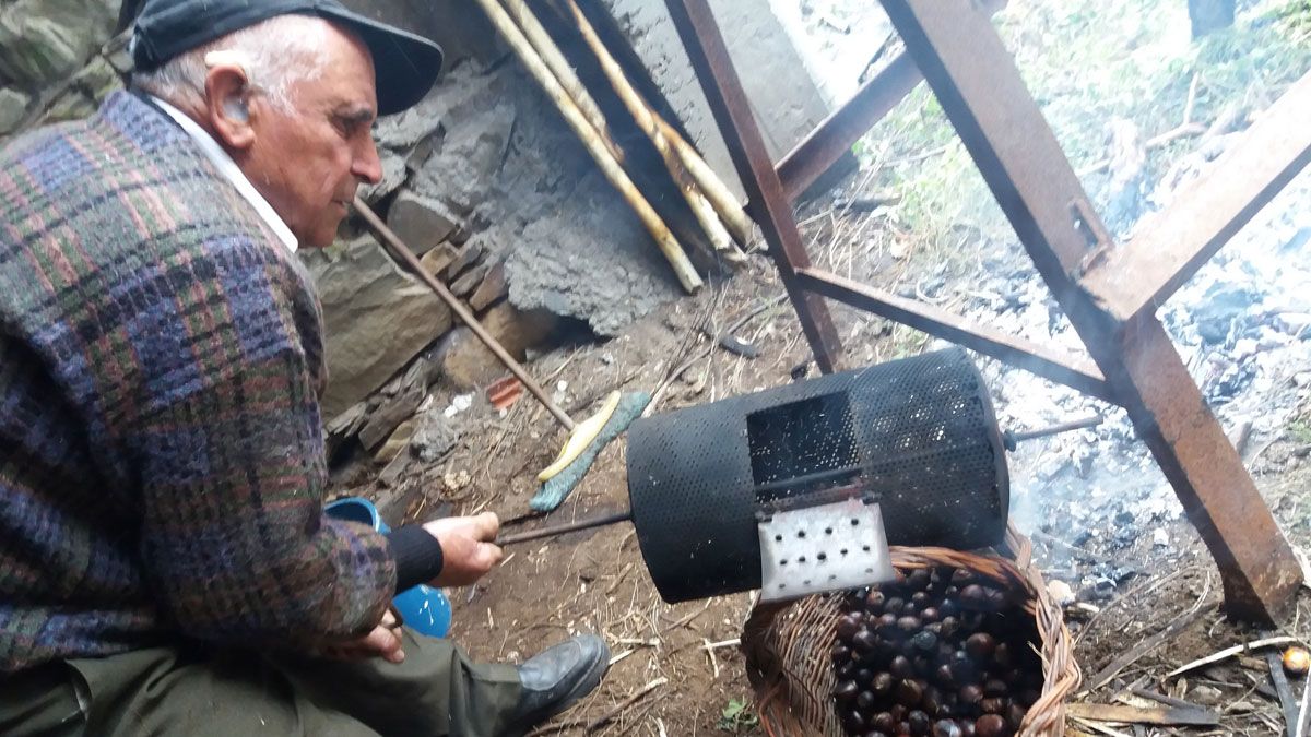 castanaramas13112017.jpg castanaramas13112017.jpg