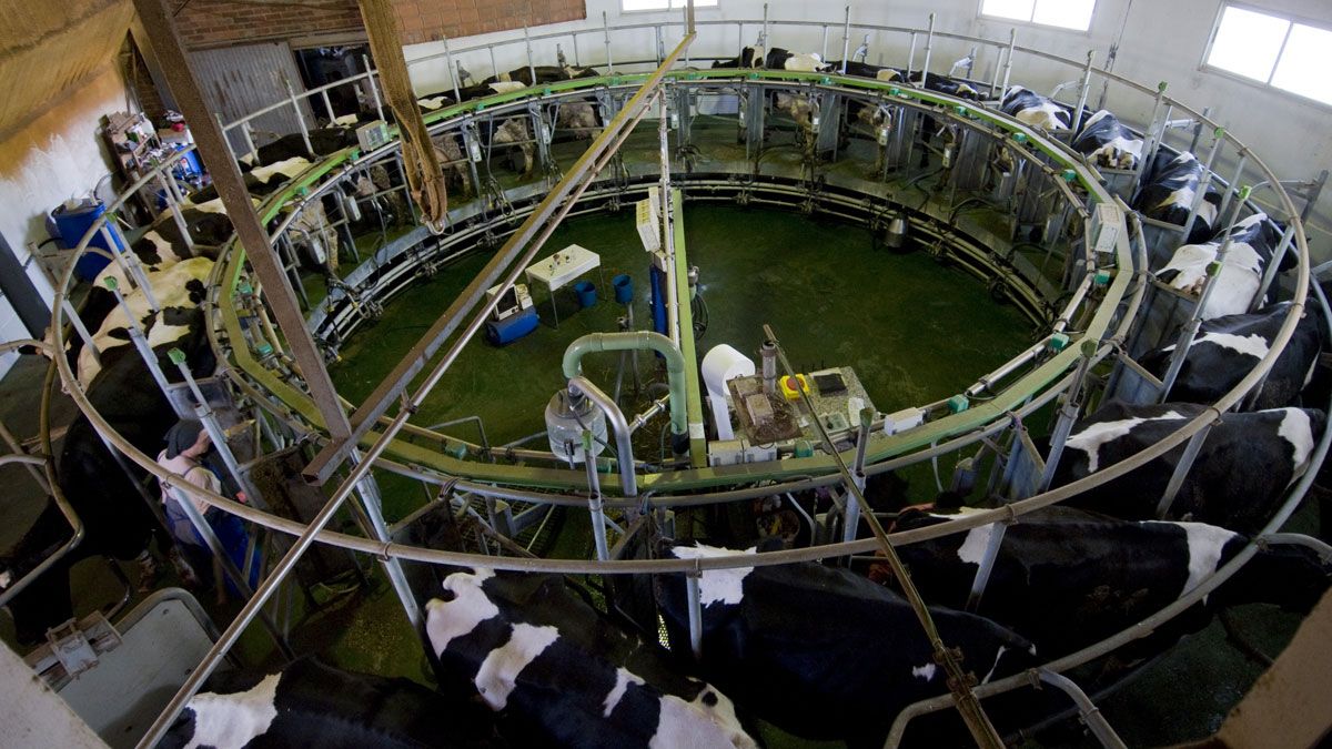 Denuncian también el abuso del monopolio de los fertilizantes o el elevado precio del gasóleo y la electricidad. | MAURICIO PEÑA