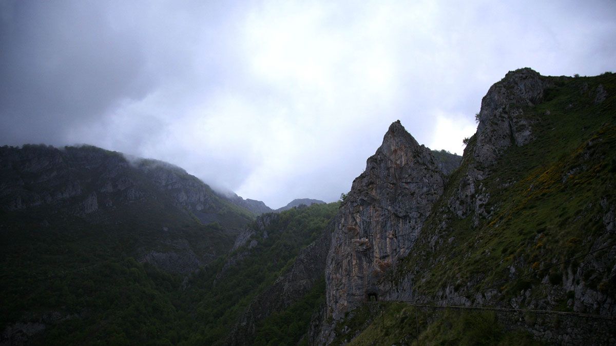 . | ICAL