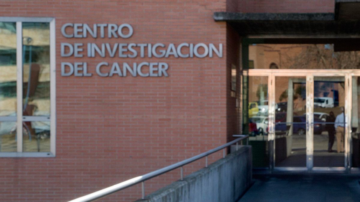 investigacion-cancer-141117.jpg