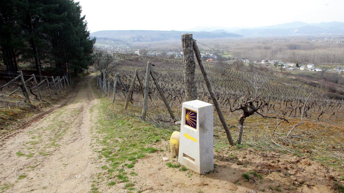 Hito del Camino de Santiago de Invierno junto a viñedos de la DO Bierzo. | C. SÁNCHEZ (ICAL)