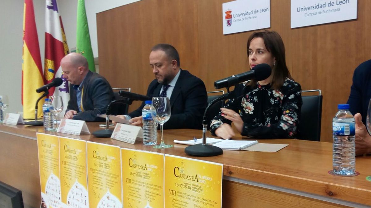 Las jornadas técnicas de Bocastanea tratan de analizar el sector de la castañicultura. | L.N.C.
