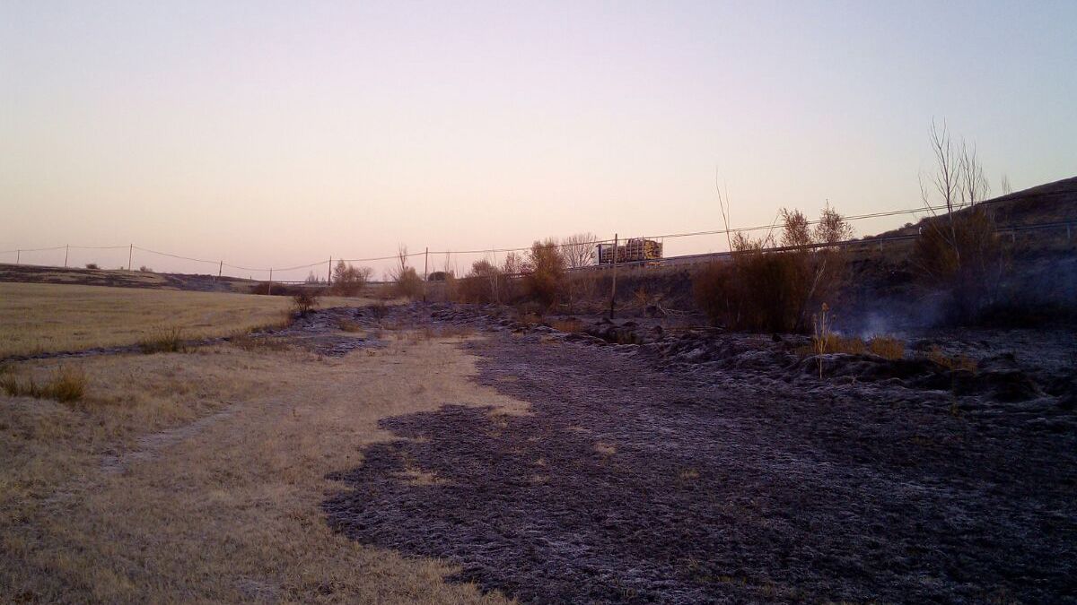 Zona afectada por las llamas en las inmediaciones de la CL-621. | L.N.C. Zona afectada por las llamas en las inmediaciones de la CL-621. | L.N.C.