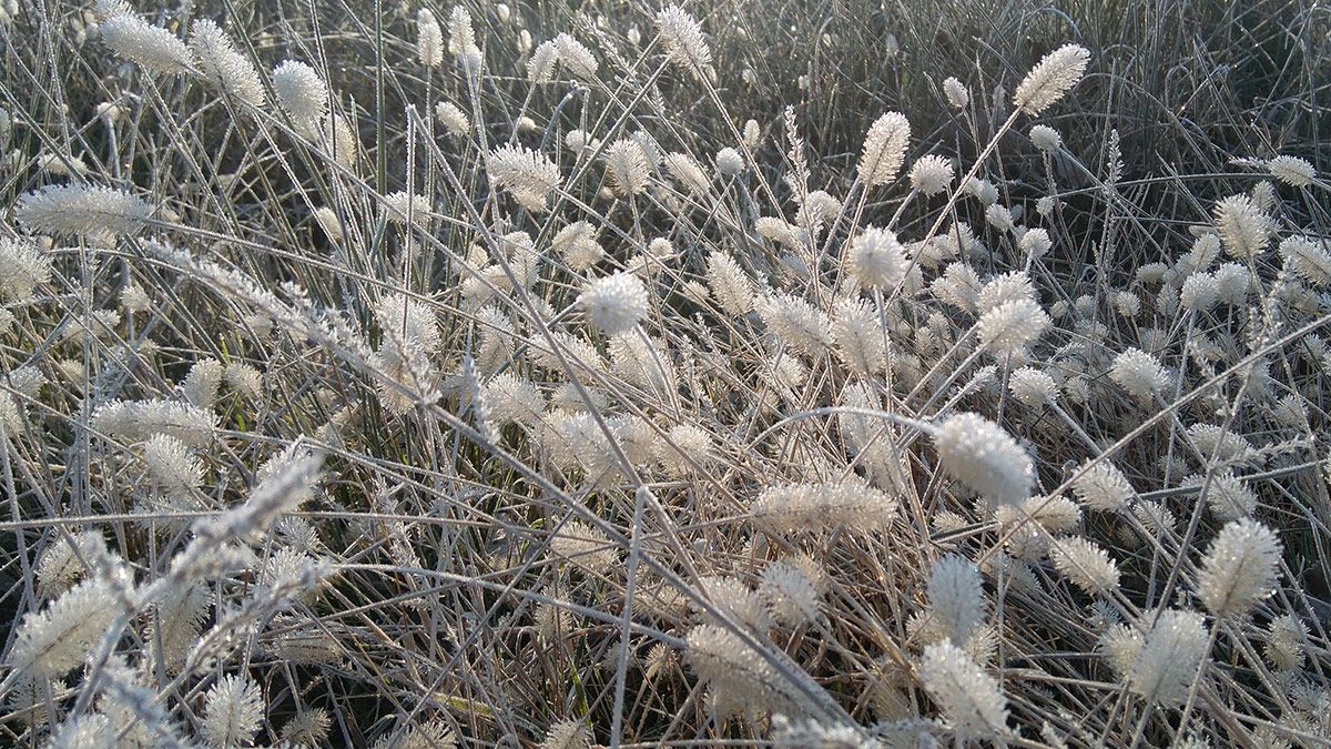 Imagen de archivo. | ICAL