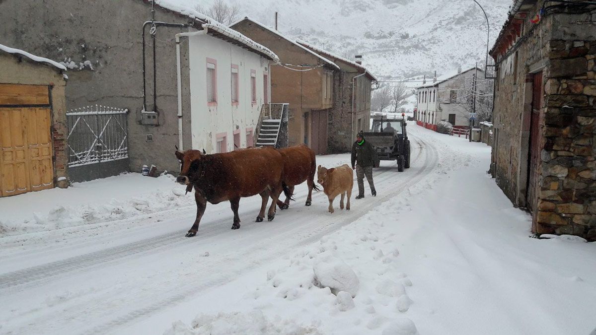 La montaña leonesa está ya cubierta de blanco.