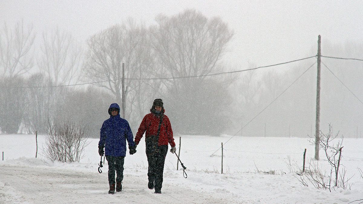 Nieve cerca de Rodiezmo. | ICAL